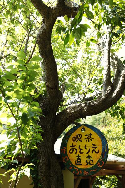 五月晴れ芸術の隠れ家