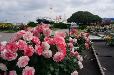 改めて知った山下公園の美しさと歴史