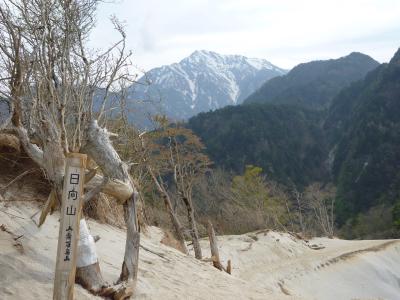 山の上なのに砂浜！！　日向山に行きました