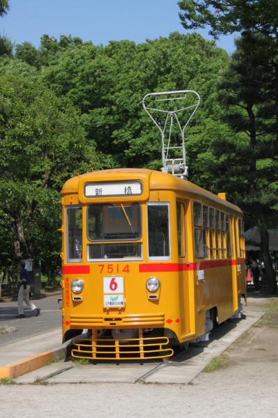 昭和記念公園シャーレーポピー＆江戸東京たてもの園でレトロ気分、初夏の大人の遠足