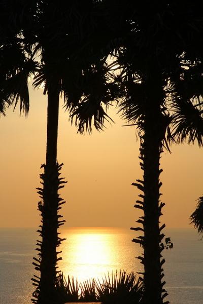 2013年3月/タイ/No.1 - 後輩とプーケットの旅