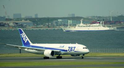 羽田空港でTEST飛行中のB−787を見る