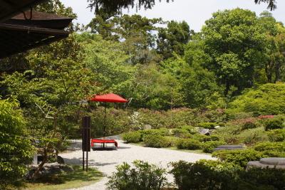 奈良　興福寺・依水園・浮見堂