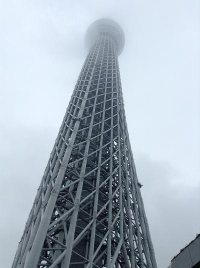 初めてのスカイツリーは残念な天気