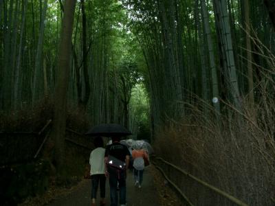 2013年5月　京都旅行　天龍寺・竹林の道