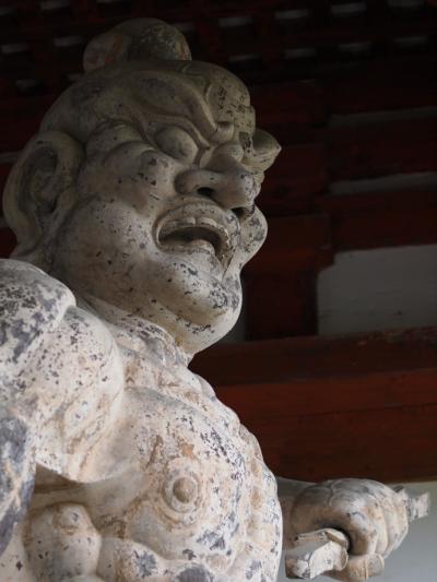 新緑の吉野（初日、金峯山寺～吉水神社～如意輪寺）