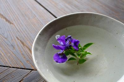 奈良の都は新緑の　２日目（その２）