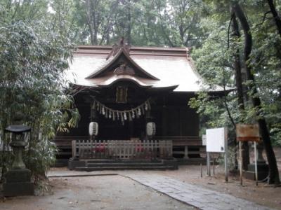 諸国一之宮“公共交通”巡礼記［武蔵国］氷川女體神社