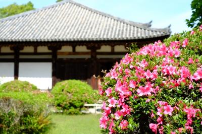 奈良の都は新緑の　１日目