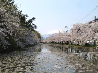 ＜青森･津軽＆西海岸の旅.7＞黒石でこけしにハマる？　青森土産＆旅の最後は桜・・・