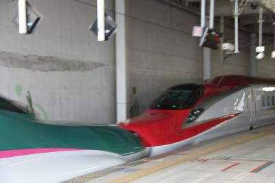 ☆----秋田新幹線---　E6系 「スーパーこまち」を撮る-----☆　東北新幹線仙台駅ホーム 宮城県