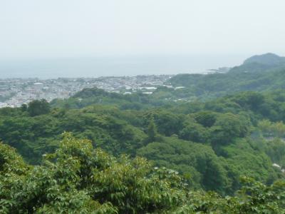 峯市民の森、円海山いっしんどう広場から鎌倉まで縦走ハイキング