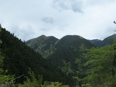 奥多摩三山のうち2つに登った