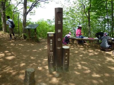 東京都民の森　新緑の三頭山