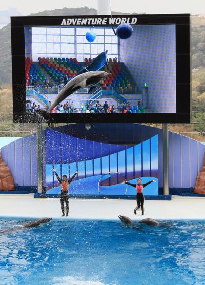 半年ぶりの家族旅行ー南紀白浜アドベンチャーワールド訪問記　後編−　ケニア号に乗ってサファリツアー、アフリカゾウにおやつをあげるアフリカゾウフィーディング、陽気で元気なイルカたちのライブショー編−