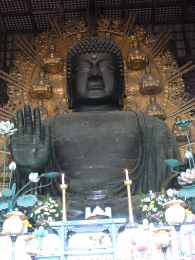 東大寺とお大仏 img_f5eddd8537cc1e10fa66399c8b