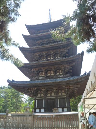 興福寺、猿沢池、聖武天皇陵