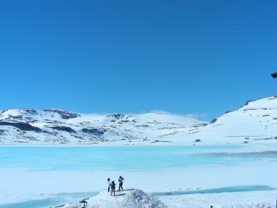 1305ノルウェー～ベルゲン急行の車窓★とりあえず写真だけ