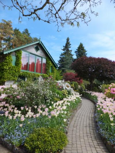 ちょっと贅沢なお花見に行こう！　ｉｎ　バンクーバー　☆２　ビクトリア1日観光編