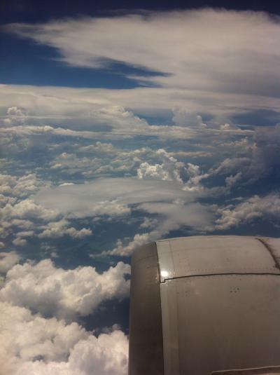 定例の上海です!