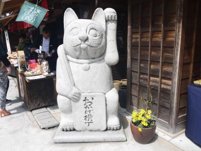 みゅこ さんのトラベラーページ