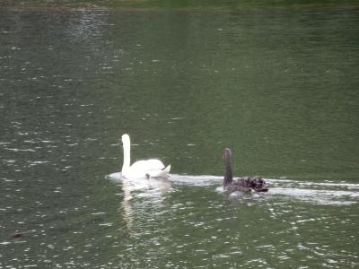 弾丸欧州その2　ブリュッセル