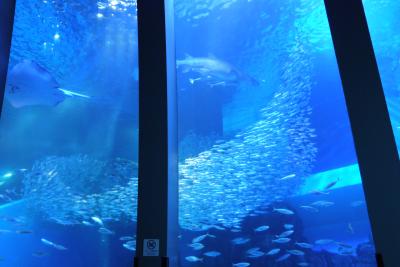 春のSEA PARADISE　～八景島～