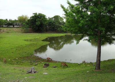 奈良をお散歩＾＾