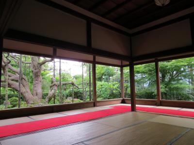 大原の里　　『 音なしの滝』と『宝泉院』を訪ねて