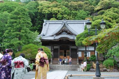 雨もなかなか、伊豆の新緑