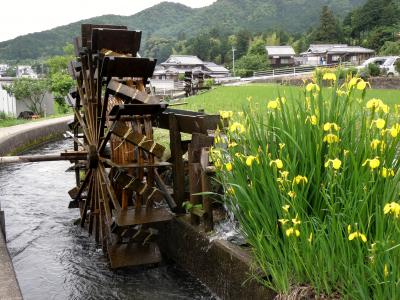 新野水車の里とバイカモ