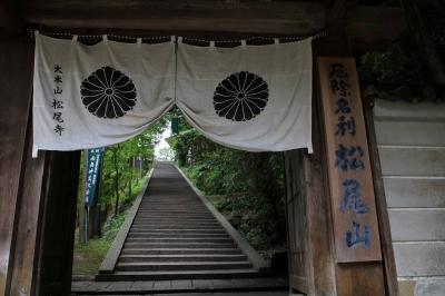 奈良 松尾寺 バラ　日本最古の厄除霊場 