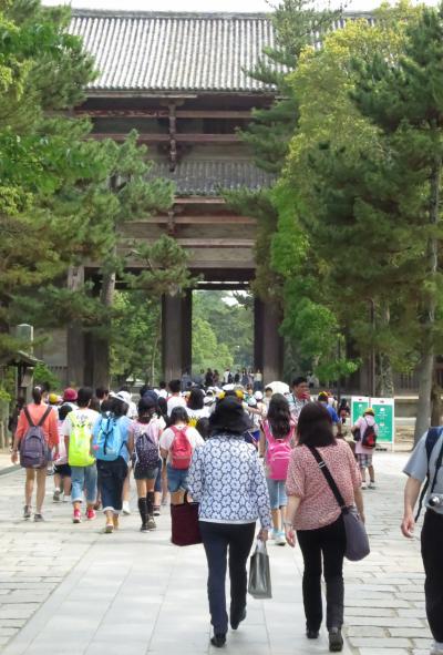 ちょっとオシャレな NARA ～♪　 イタリアン・ランチ 『TRATTORIA piano』　「法華堂（三月堂）」　そして〆はスイーツ『GATEAU DES BOIS（ガトー・ド・ボワ）』　