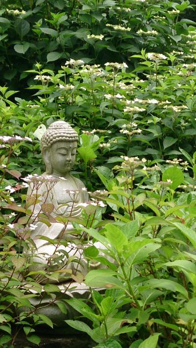 阿弥陀寺&箱根湯寮 癒しの日帰り旅行