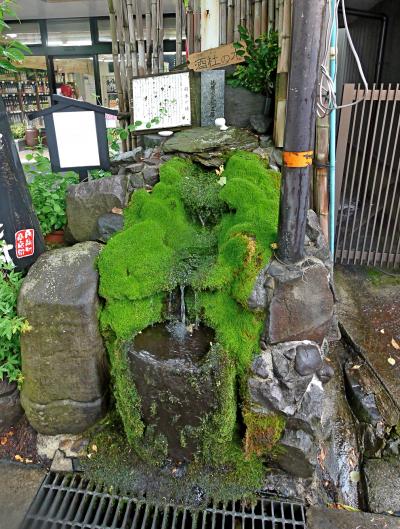 2013.5熊本学会・阿蘇旅行4-雨の日緑が映える阿蘇神社門前町と宮地湧水群