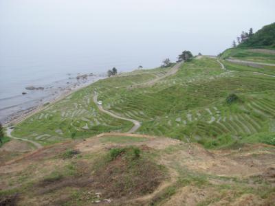 花咲く能登半島【後編】