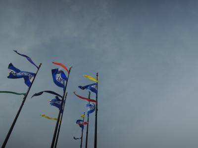 カリフォルニアの風に吹かれ、大地にパワーをもらう！１　【アメリカ】