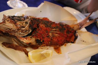 虎太郎と一緒に伊豆高原の温泉に行ってきま～す（アニマーレプレミアム）中編