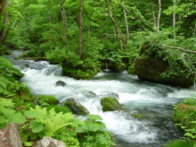 十和田市現代美術館・奥入瀬渓流・蔦沼めぐり