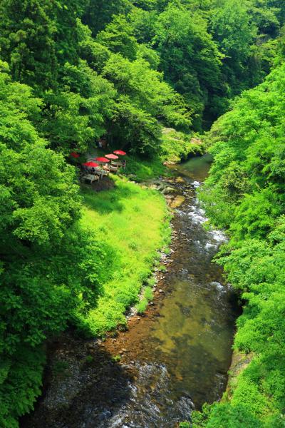 石川　無限庵と鶴仙渓の緑