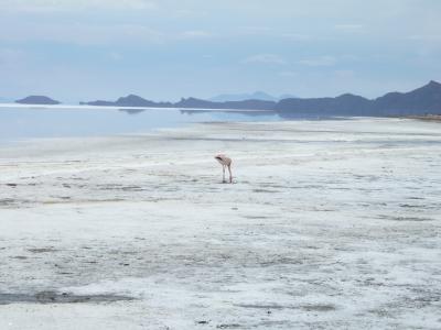 アンデス紀行　４