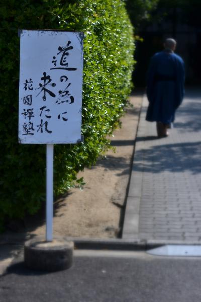 初めての座禅会＆心休まる退蔵院庭園