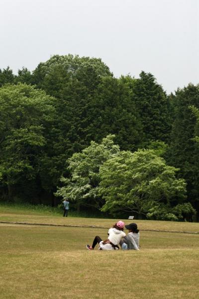 小さな旅●愛知県森林公園野草散策　キンラン・タンザワウマノスズクサ