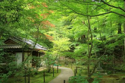 新緑の湖東三山　西明寺、金剛輪寺、百済寺へお参り。