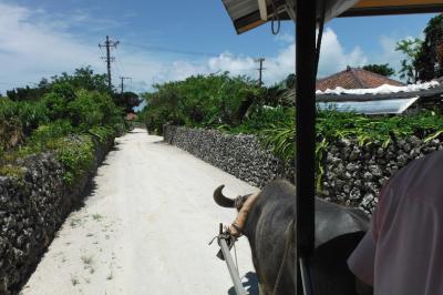 ☆.｡.:*・ﾟ　八重山 Island Hopper！ ☆.｡.:*・ﾟ (那覇から黒島・竹富島編)