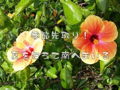 【2泊3日】日本の南で過ごす春～3日目【女子旅】