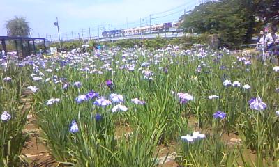 潮来で駅からハイキング