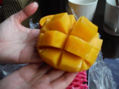 ８回目の台北旅行（３日目＝最終日）