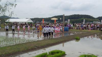 伊雑宮御田植祭