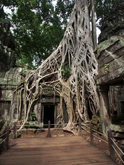 アンコール、まさに遺跡　その3 タ・プローム他